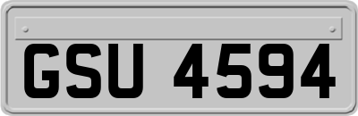 GSU4594