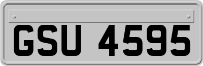 GSU4595