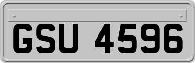 GSU4596