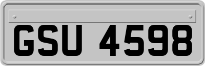 GSU4598