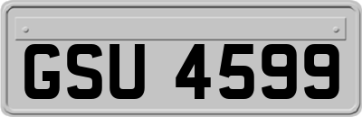 GSU4599