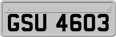 GSU4603