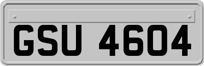 GSU4604