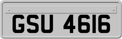 GSU4616