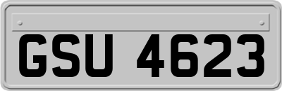 GSU4623