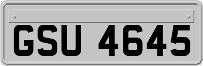 GSU4645