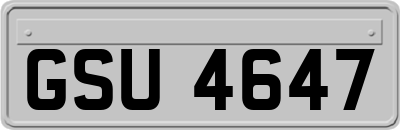 GSU4647