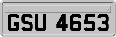 GSU4653