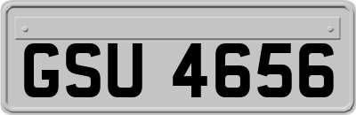 GSU4656