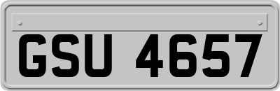 GSU4657