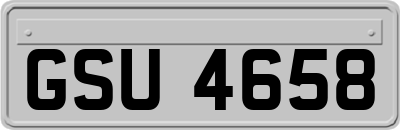 GSU4658