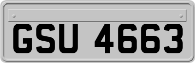 GSU4663