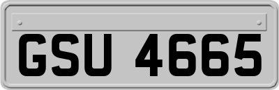 GSU4665