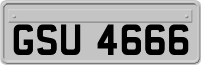 GSU4666