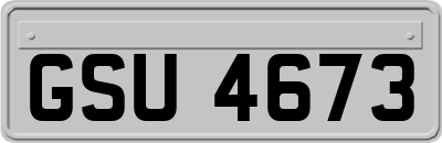GSU4673