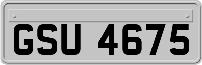GSU4675