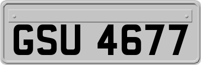 GSU4677