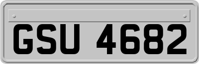 GSU4682