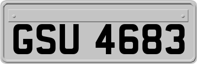 GSU4683