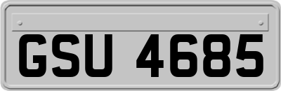 GSU4685