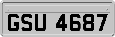 GSU4687
