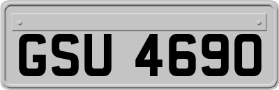 GSU4690