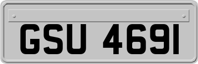 GSU4691