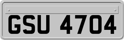 GSU4704