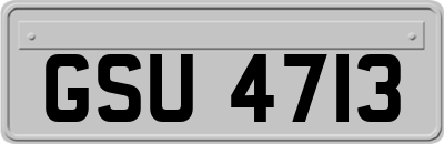 GSU4713