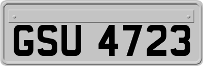 GSU4723
