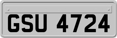 GSU4724