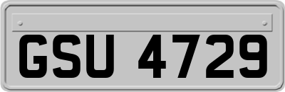 GSU4729