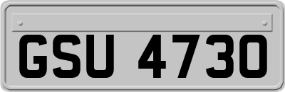 GSU4730