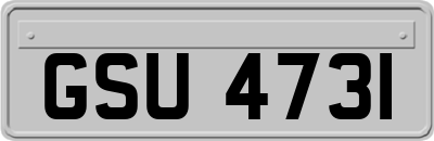 GSU4731