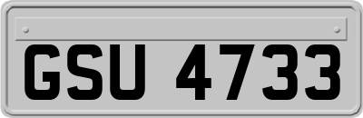 GSU4733