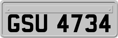 GSU4734