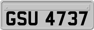 GSU4737