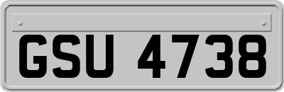 GSU4738