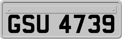 GSU4739