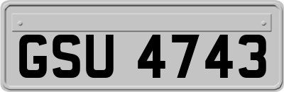 GSU4743