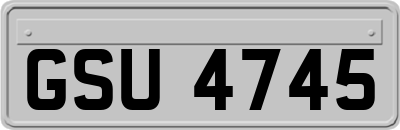 GSU4745