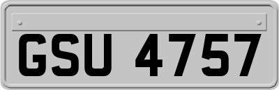 GSU4757