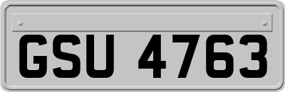 GSU4763