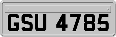 GSU4785