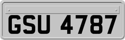 GSU4787