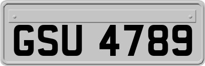 GSU4789