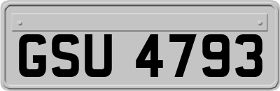 GSU4793