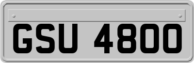 GSU4800