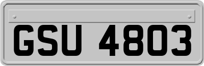 GSU4803