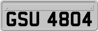 GSU4804